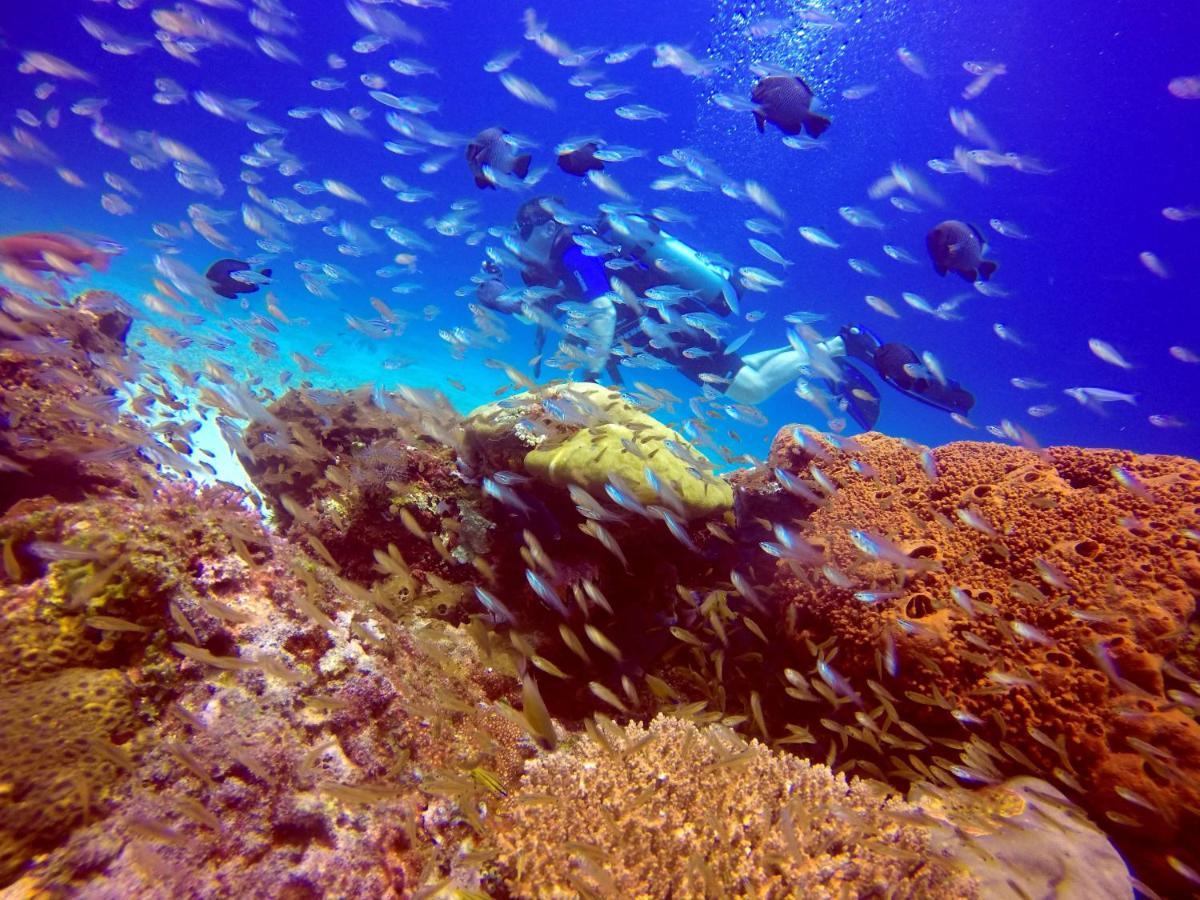 Anema Wellness & Resort Gili Lombok - Diving Center Padi Tanjung  Exterior photo